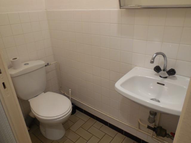 Location appartement T3 Vienne - Photo 5