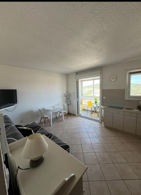 Location appartement T2 Six Fours les Plages - Photo 9