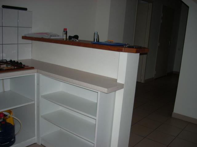 Location appartement T3 Grenade sur l'Adour - Photo 3