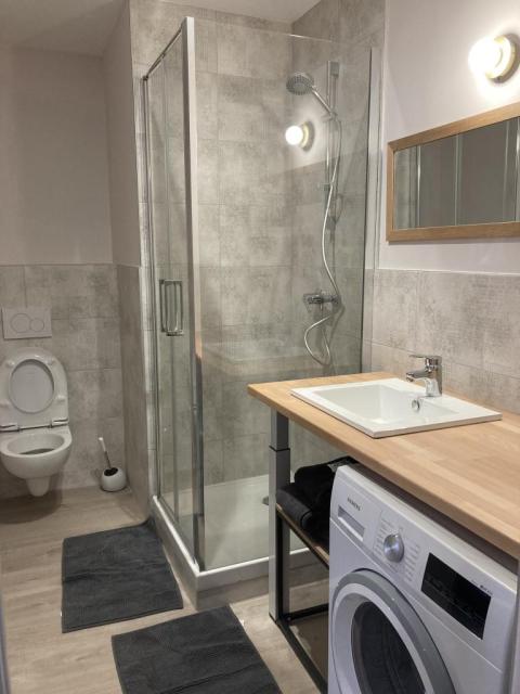 Location appartement T2 Lyon 3 - Photo 3