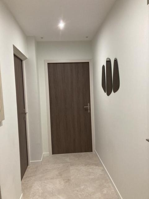 Location appartement T2 Lyon 3 - Photo 4
