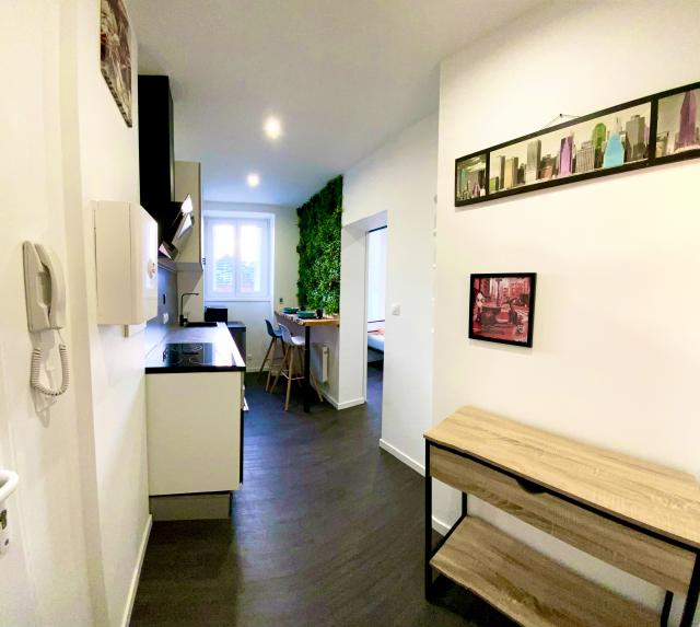Location appartement T1 Mulhouse - Photo 3