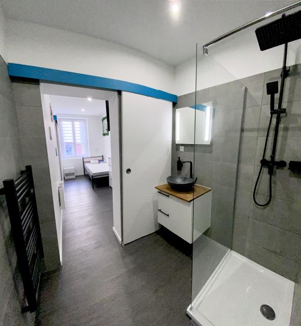 Location appartement T1 Mulhouse - Photo 7