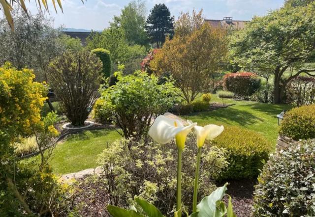 Location maison F6 St Prix - Photo 2