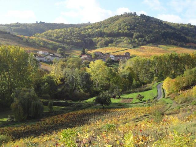 Location studio Vaux en Beaujolais - Photo 6