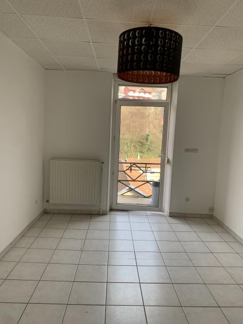 Location appartement T2 Longwy - Photo 3