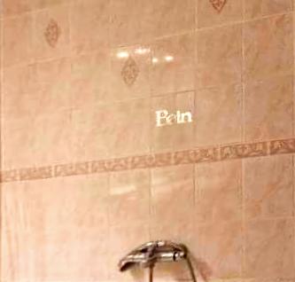 Location appartement T4 Rougemont le Chateau - Photo 5