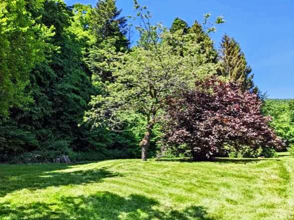 Location appartement T4 Rougemont le Chateau - Photo 6