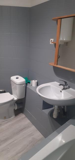 Location appartement T1 Lyon 8 - Photo 3