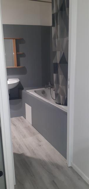 Location appartement T1 Lyon 8 - Photo 4