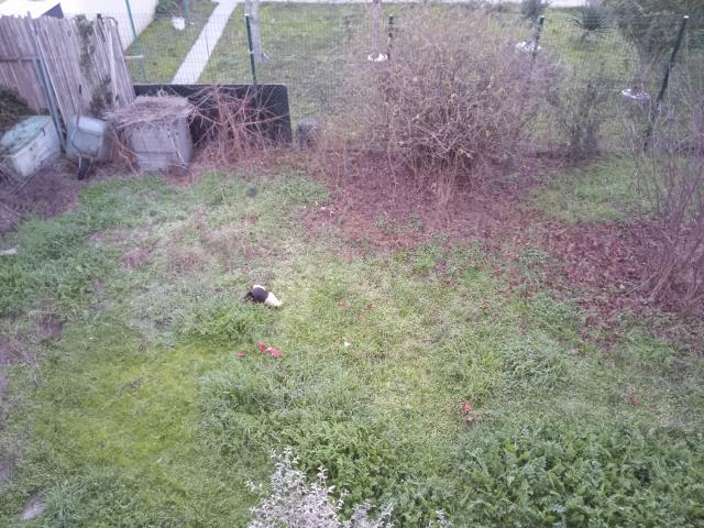 Location chambre Toulouse - Photo 7