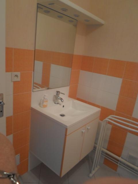 Location appartement T1 Epinal - Photo 6