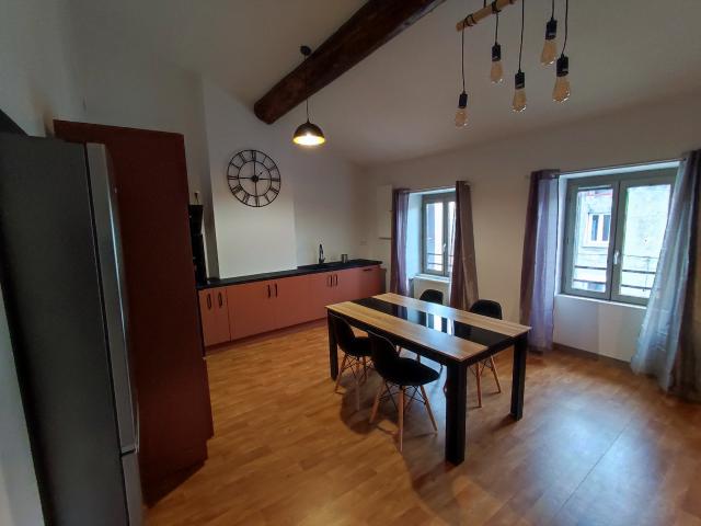 Location appartement T2 Rive de Gier - Photo 4
