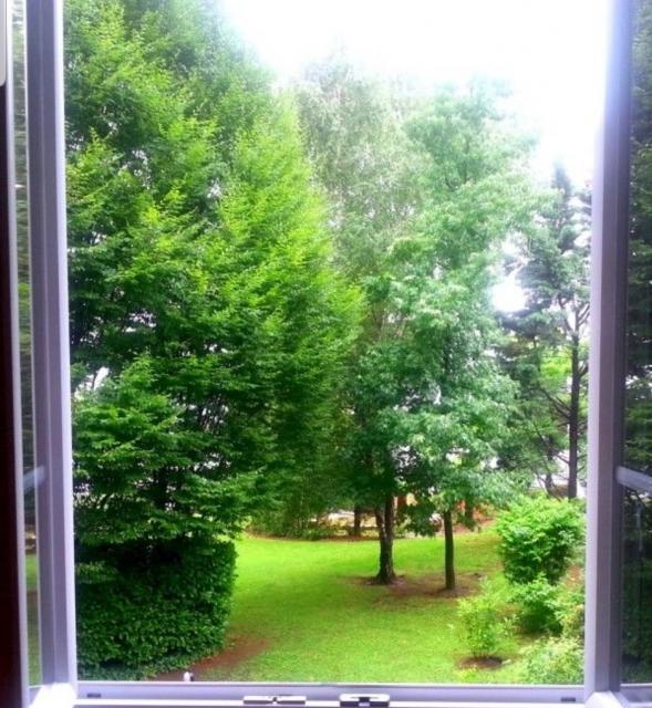 Location appartement T2 Lyon 3 - Photo 2