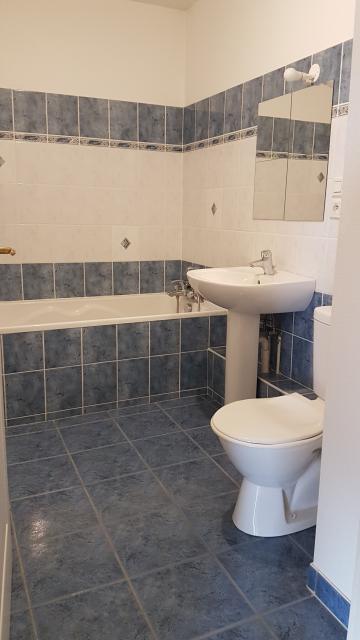 Location appartement T2 Colmar - Photo 3