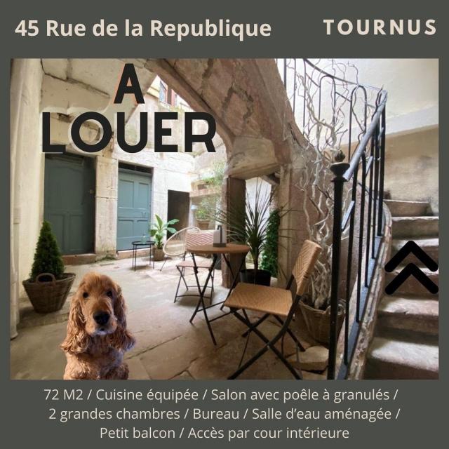 Location appartement T3 Tournus - Photo 1