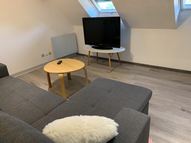 Location appartement T2 Sarrebourg - Photo 4