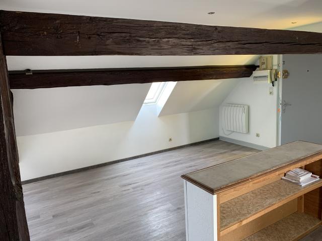 Location appartement T2 Sarrebourg - Photo 8