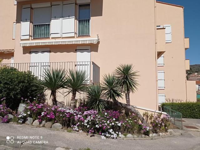 Location studio Amelie les Bains Palalda - Photo 2