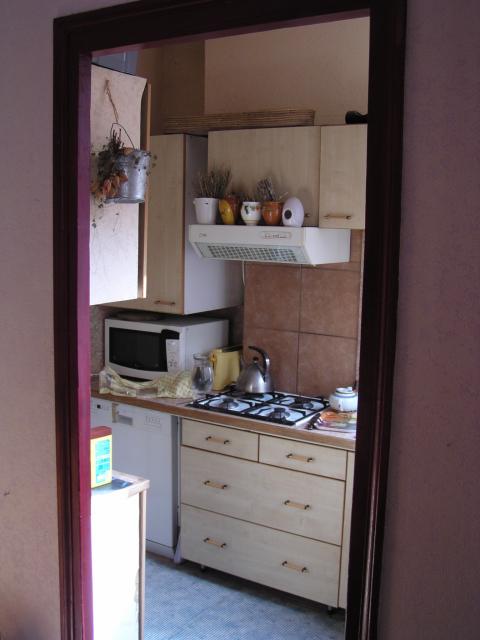 Location appartement T3 Grenoble - Photo 5