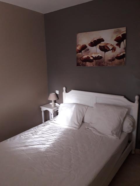 Location appartement T2 Oletta - Photo 6