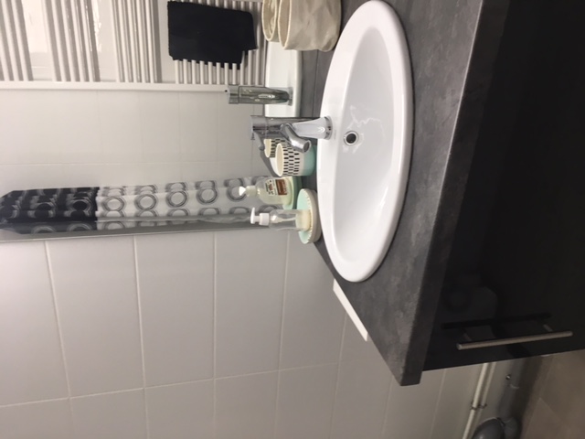 Location appartement T1 Toulouse - Photo 9