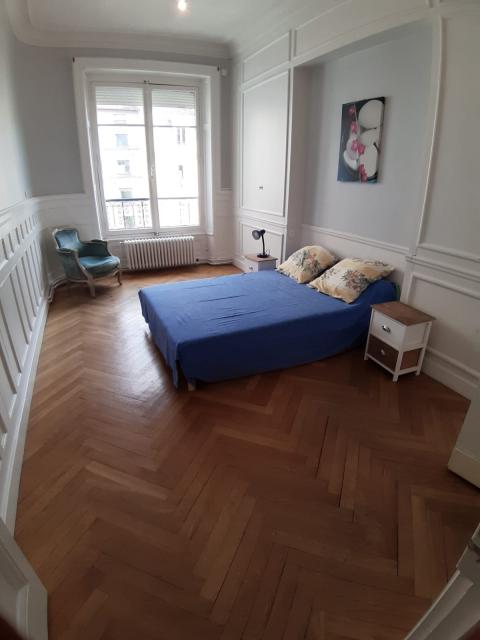 Location appartement T3 Lyon 3 - Photo 3