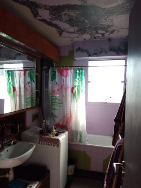 Location appartement T3 Paris 19 - Photo 7