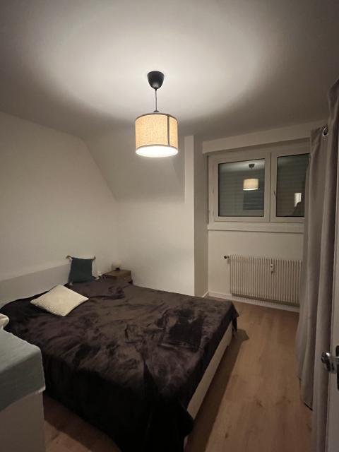 Location appartement T2 Strasbourg - Photo 10