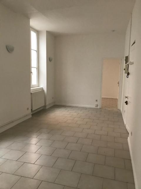 Location appartement T2 Lyon 1 - Photo 3