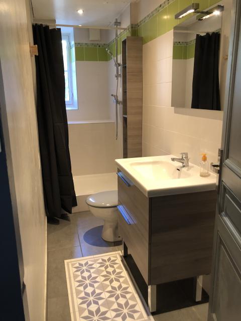 Location appartement T1 Lyon 7 - Photo 5