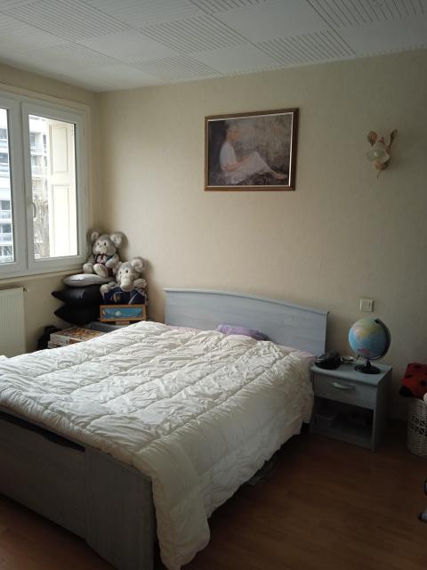 Location appartement T2 St Etienne - Photo 3