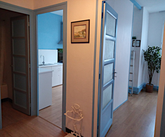 Location appartement T2 Grenoble - Photo 6