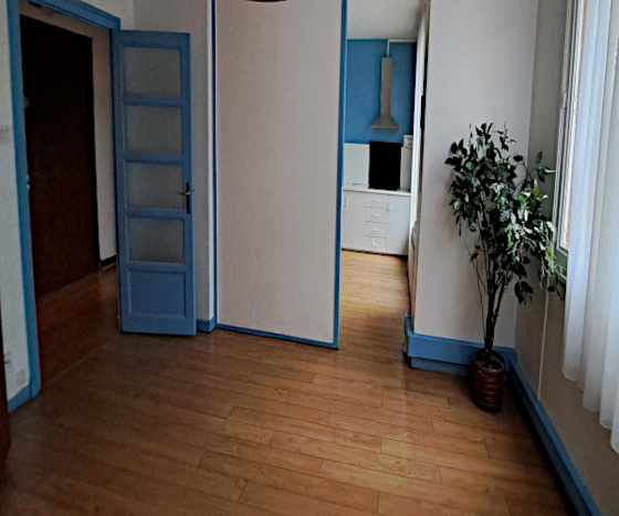 Location appartement T2 Grenoble - Photo 7