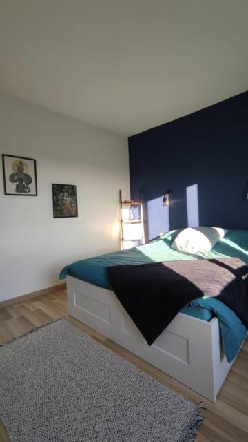 Location appartement T3 Albi - Photo 3