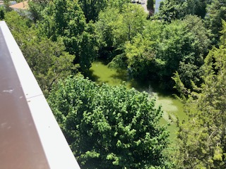 Location chambre Bordeaux - Photo 1