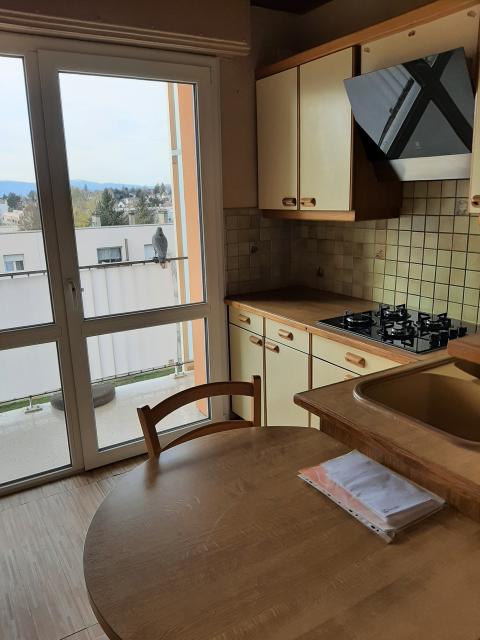 Location appartement T4 Mulhouse - Photo 4