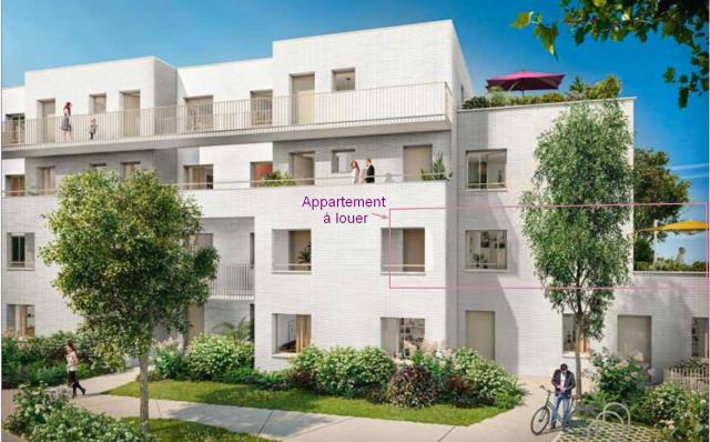 Location appartement T3 Lille - Photo 3