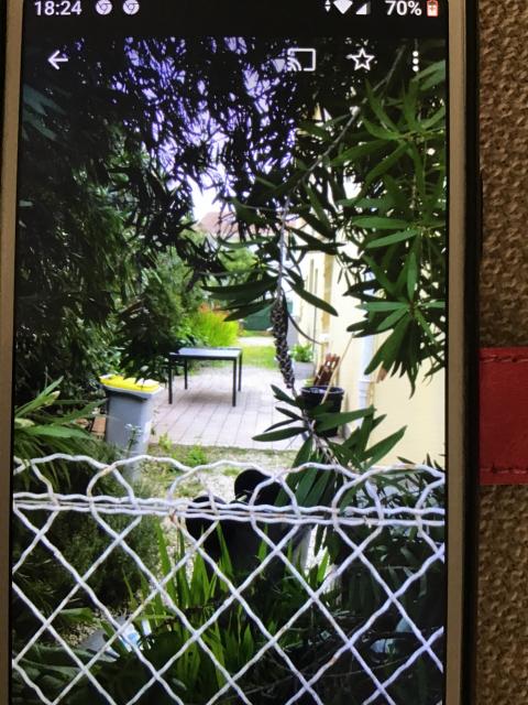 Location appartement T2 Hyeres - Photo 2