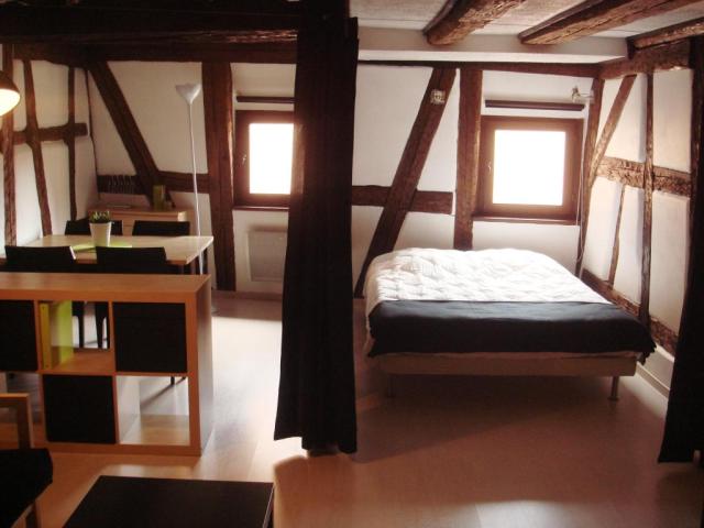 Location appartement T1 Colmar - Photo 2