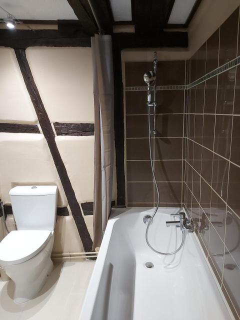 Location appartement T1 Colmar - Photo 6