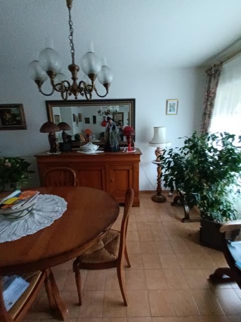Location appartement T3 Perpignan - Photo 3