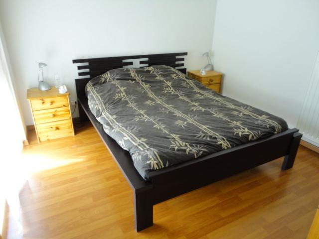 Location appartement T3 Grenoble - Photo 2
