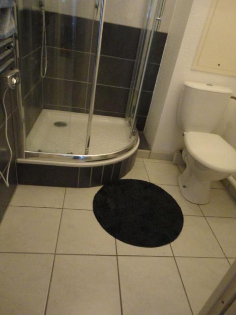 Location appartement T3 Grenoble - Photo 4