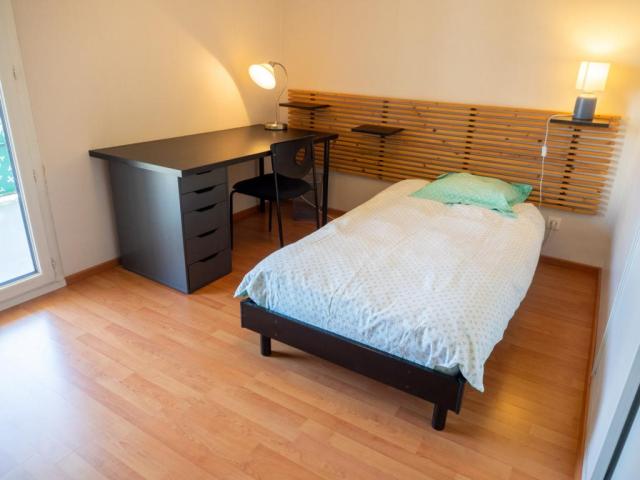 Location chambre Grenoble - Photo 2