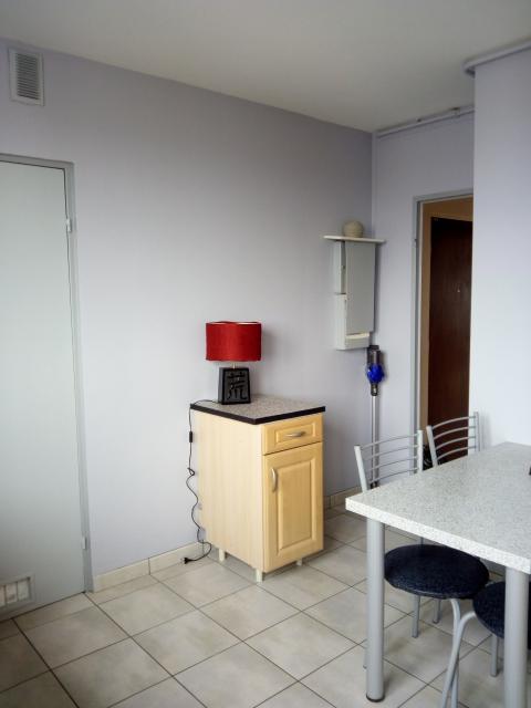 Location appartement T2 St Etienne - Photo 3