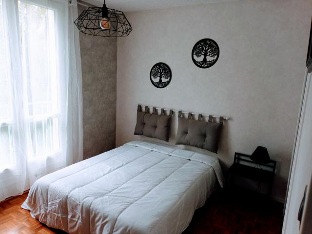 Location appartement T3 Limoges - Photo 2
