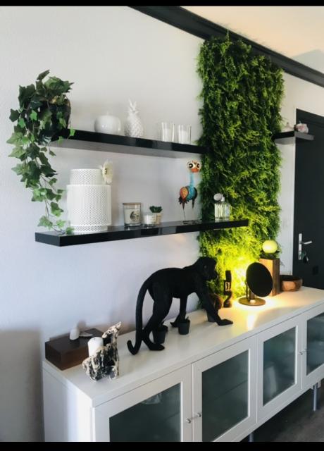 Location appartement T3 Muret - Photo 2