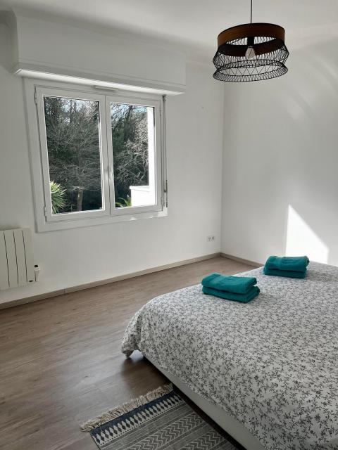 Location appartement T4 Ondres - Photo 9