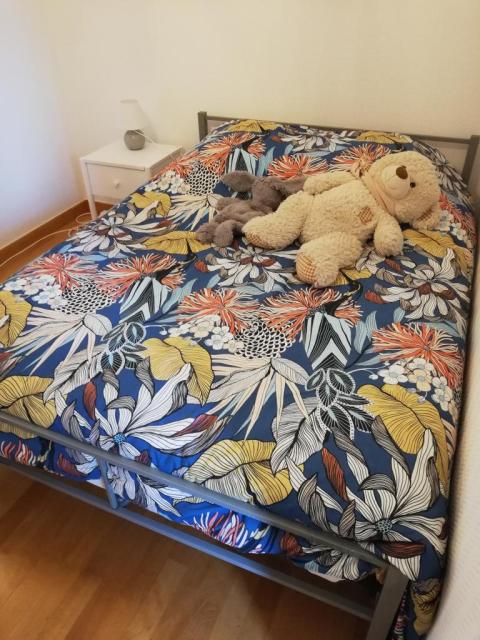 Location appartement T2 Toulouse - Photo 6